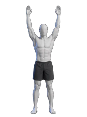 Arm circles, end position