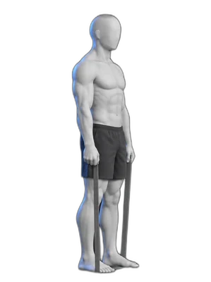 Hip hinge with a band, end position