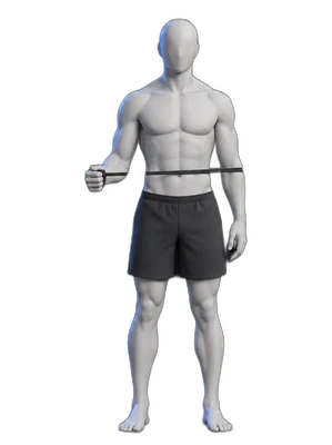 Outward rotation with a band, end position