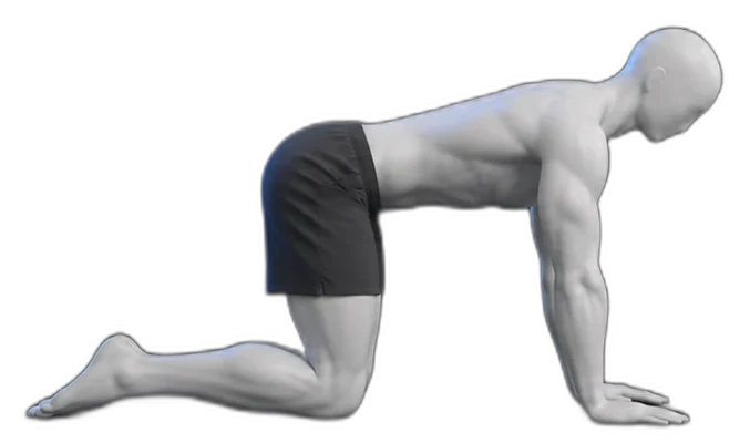 Leg lifts on hands and knees, start position