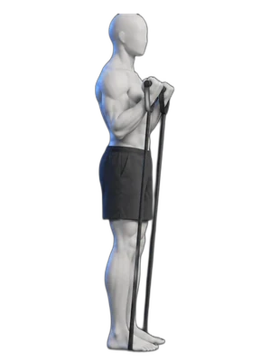 Elbow bends with a band, end position