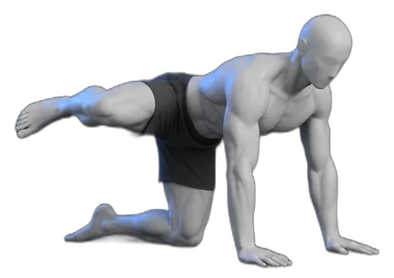 Side leg lifts on hands and knees, end position