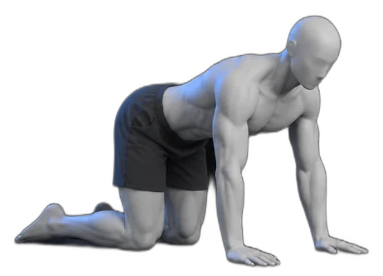 Side leg lifts on hands and knees, start position