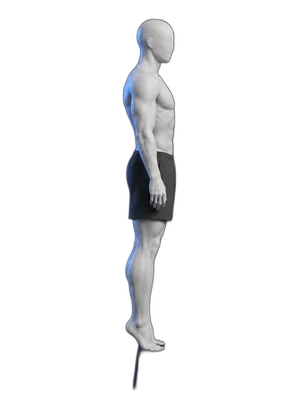 Heel raises, end position