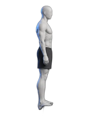 Heel raises, start position