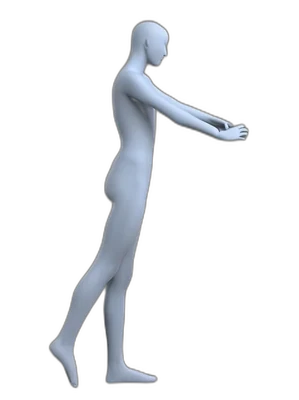 Back leg lifts, end position