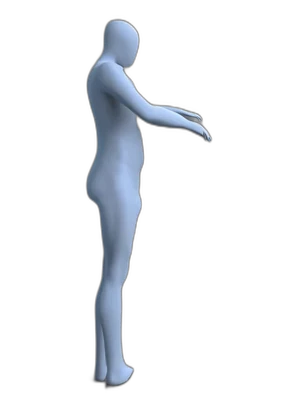 Back leg lifts, start position
