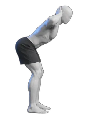 Hip hinge, end position