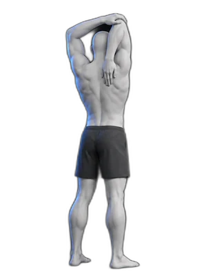 Overhead arm stretch, hold position