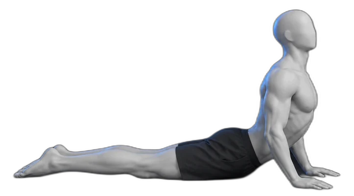 Press-ups on your stomach, hold position
