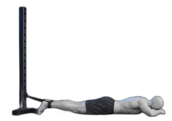 Knee bends on your stomach, start position
