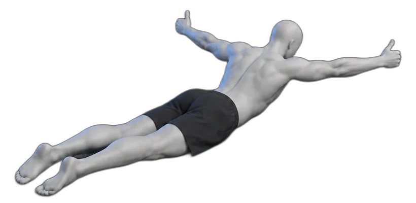 T raises on your stomach, end position