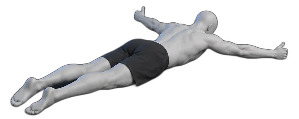 T raises on your stomach, start position