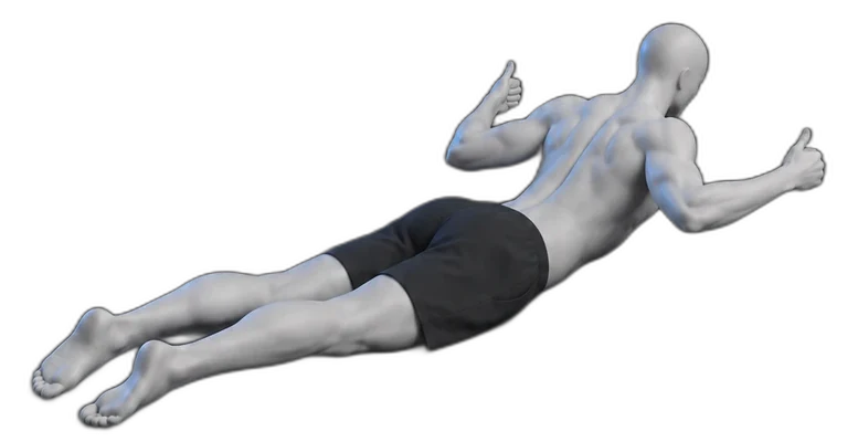 W raises on your stomach, end position