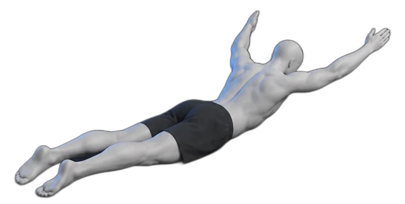 Y raises on your stomach, end position