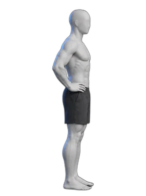 Step-back lunge, start position
