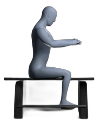 Seated arm raise to the front, end position