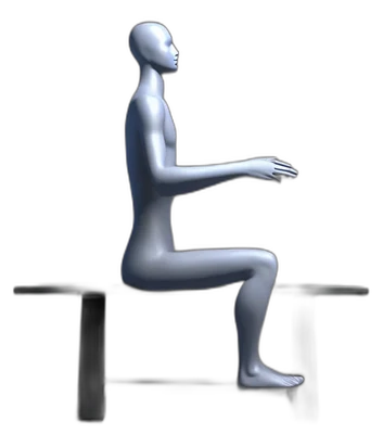 Seated arm raise to the front, start position