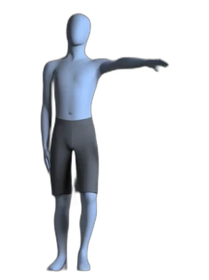 Seated arm raise to the side, end position