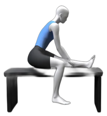 Seated hamstring stretch, hold position