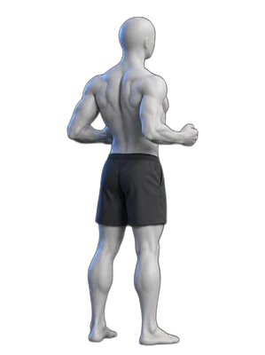 Shoulder blade squeeze, end position