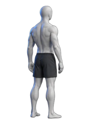 Shoulder blade squeeze, start position