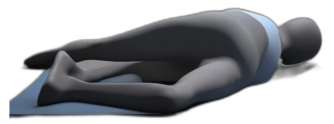 Side-lying inner thigh lifts, end position