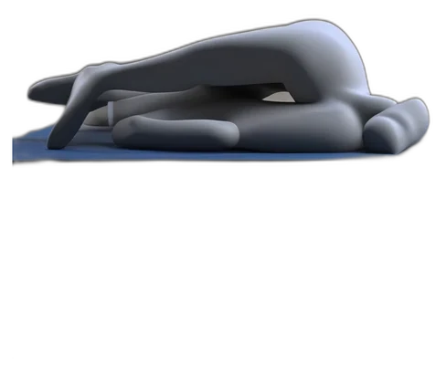 Side-lying inner thigh lifts, start position