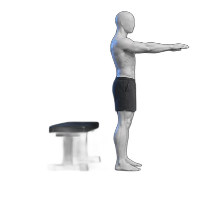 Sit to stand, start position