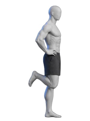 Standing knee bends, end position