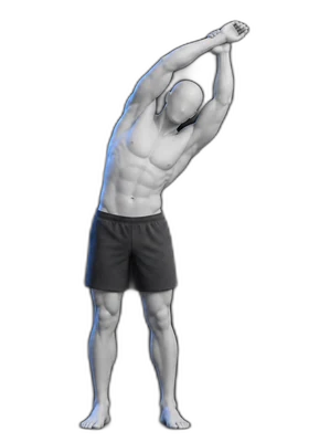 Standing side bend, hold position