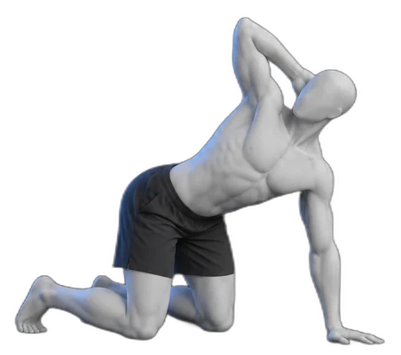 Standing trunk turns, end position