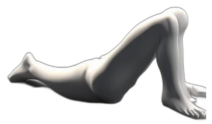 Straight leg raise, end position
