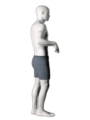 Heel-to-toe stance, hold position