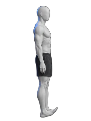 Toe raises, end position