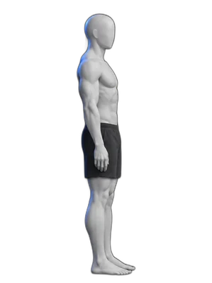 Toe raises, start position