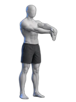 Wrist stretch palm down, hold position
